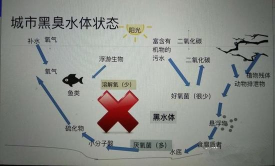江蘇億元投資治污新技術(shù) 石墨烯能否治理黑臭水體？