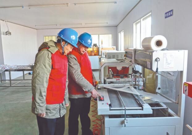 濱?？h供電公司：白首烏產(chǎn)業(yè)發(fā)展充上“滿格電”