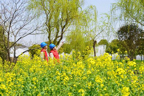 國網(wǎng)太倉市供電公司：電力賦能農(nóng)文旅，五一出游“零碳”行