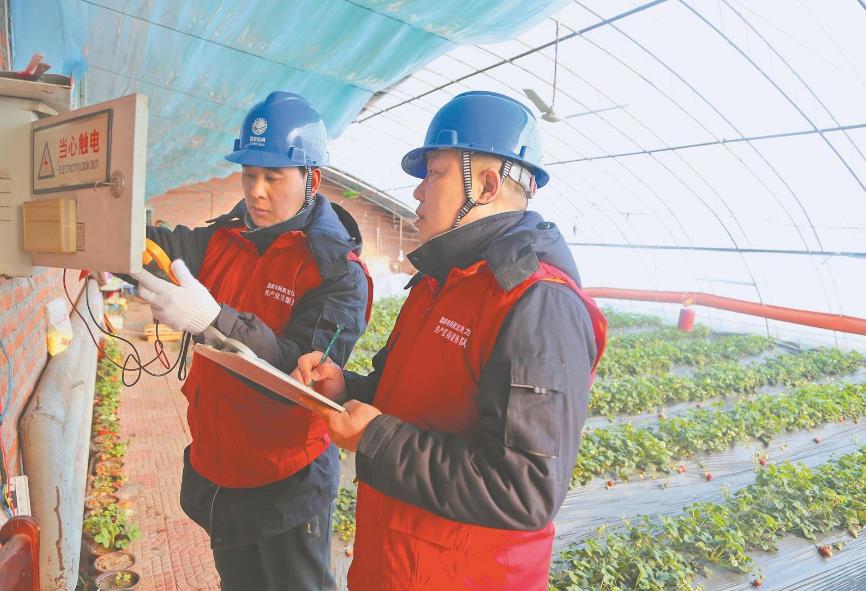 黑龍江省佳木斯“24小時(shí)在線(xiàn)”服務(wù)助果蔬及時(shí)上市